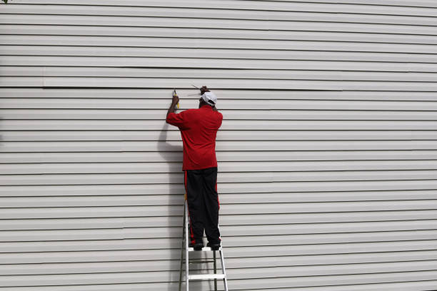 Best Siding Painting and Refinishing  in Vestavia Hills, AL